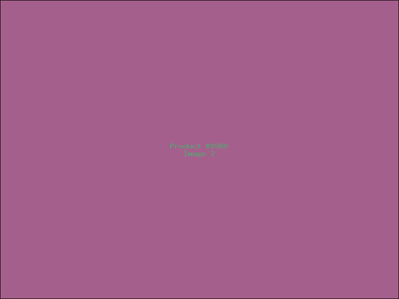 Example Product 8980 - Image 2