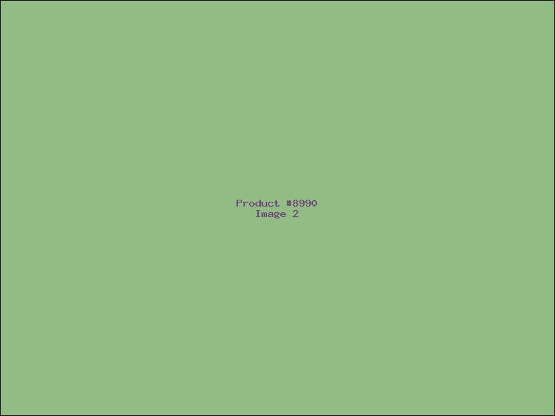 Example Product 8990 - Image 2