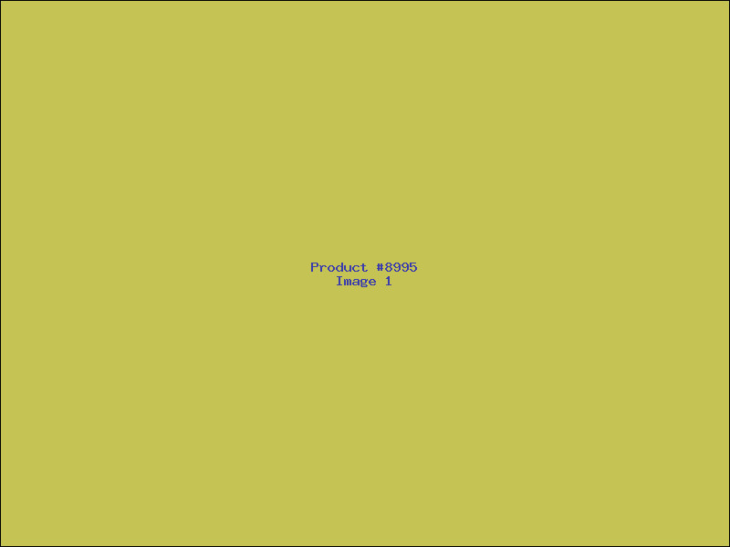 Example Product 8995