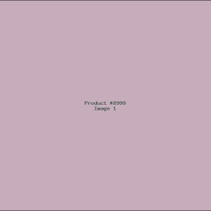 Example Product 8999