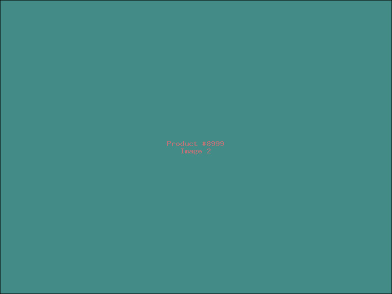 Example Product 8999 - Image 2