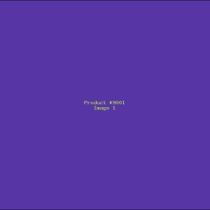 Example Product 9001