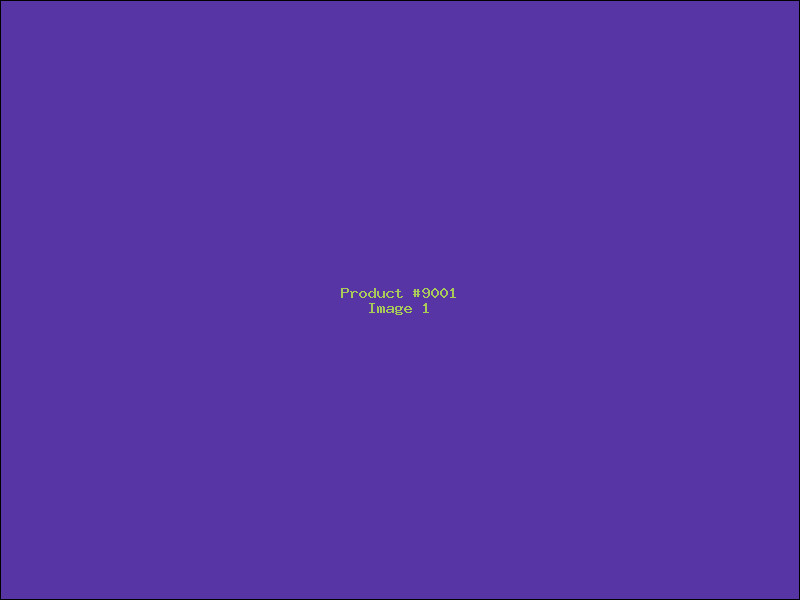 Example Product 9001