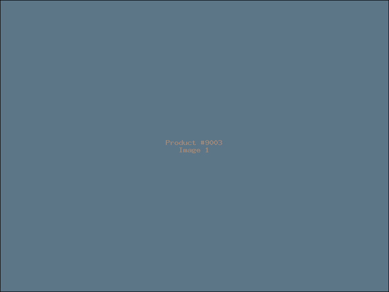 Example Product 9003