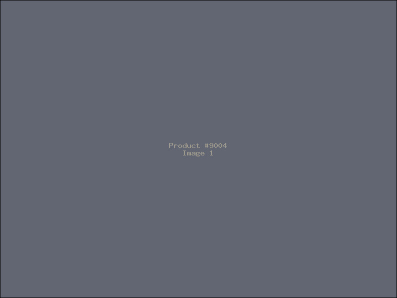 Example Product 9004