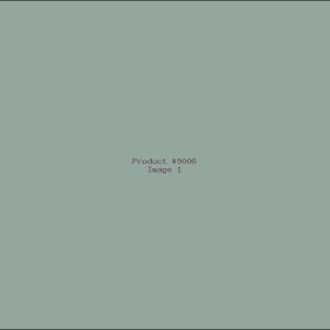 Example Product 9006