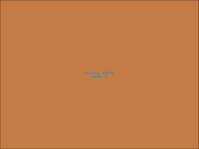 Example Product 9006 - Image 2