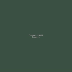 Example Product 9011