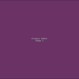 Example Product 9012
