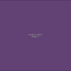 Example Product 9013