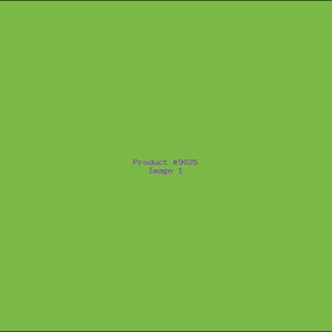 Example Product 9025