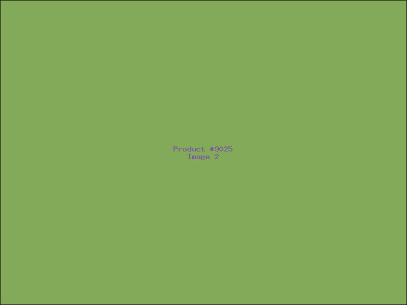 Example Product 9025 - Image 2