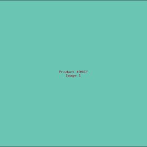 Example Product 9027
