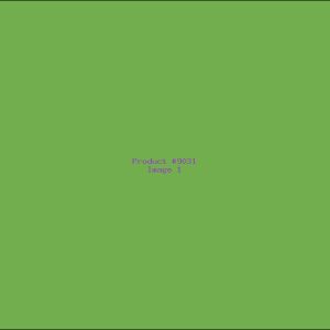 Example Product 9031