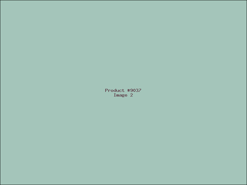 Example Product 9037 - Image 2