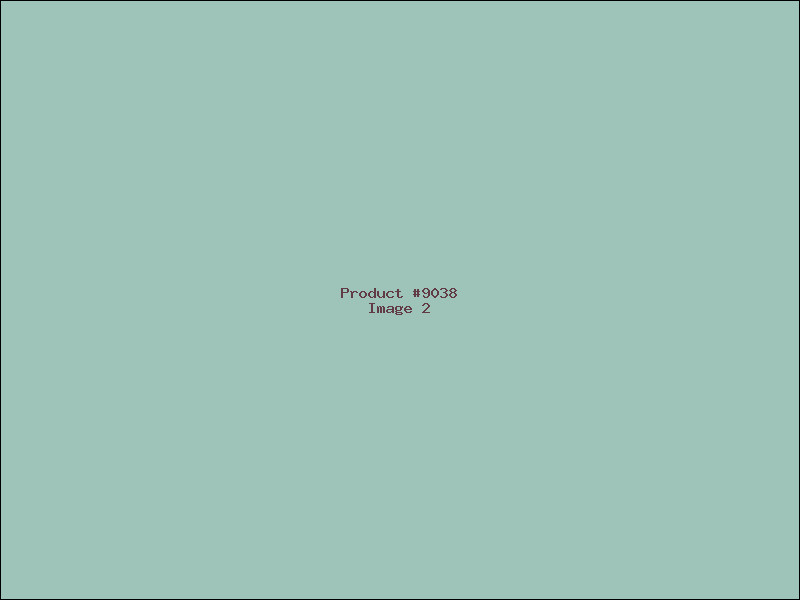 Example Product 9038 - Image 2