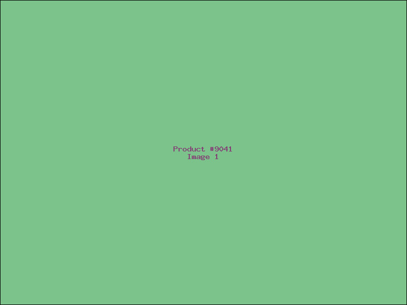 Example Product 9041