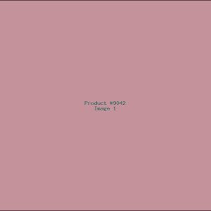 Example Product 9042