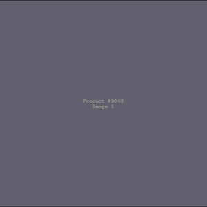Example Product 9048