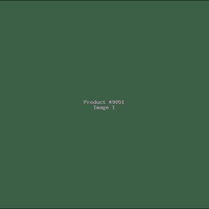 Example Product 9051