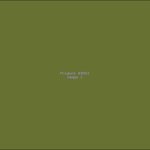 Example Product 9053