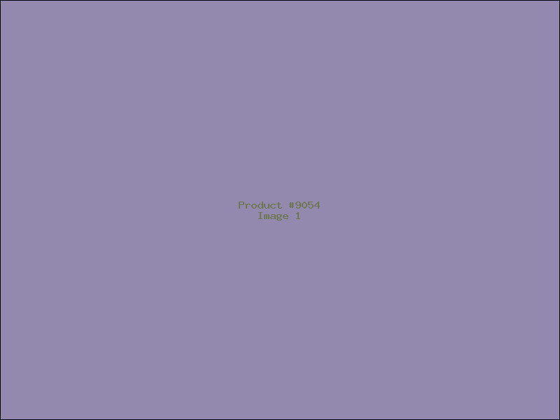 Example Product 9054