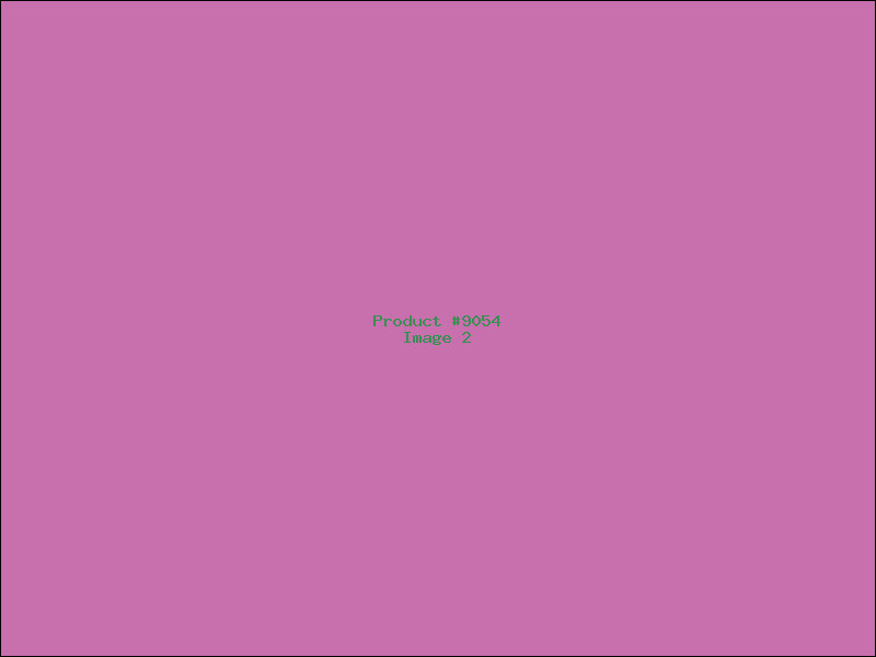 Example Product 9054 - Image 2