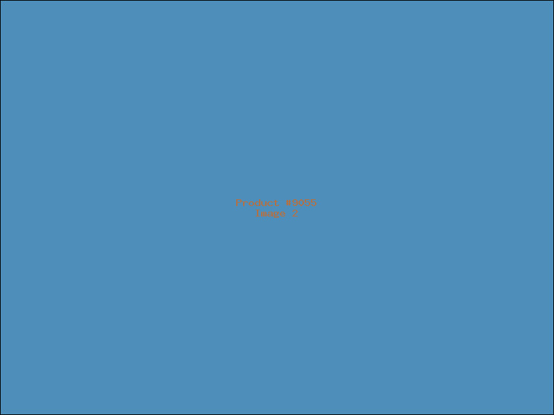 Example Product 9055 - Image 2