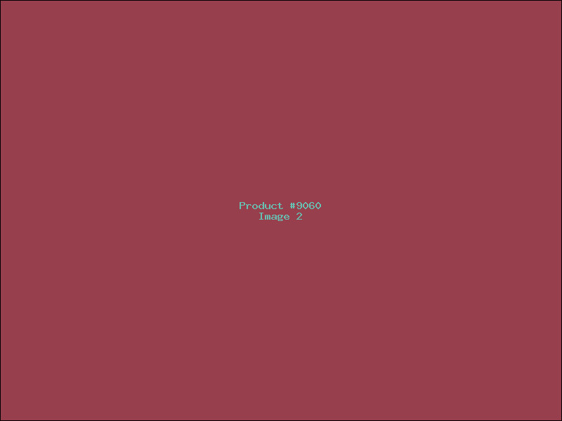 Example Product 9060 - Image 2