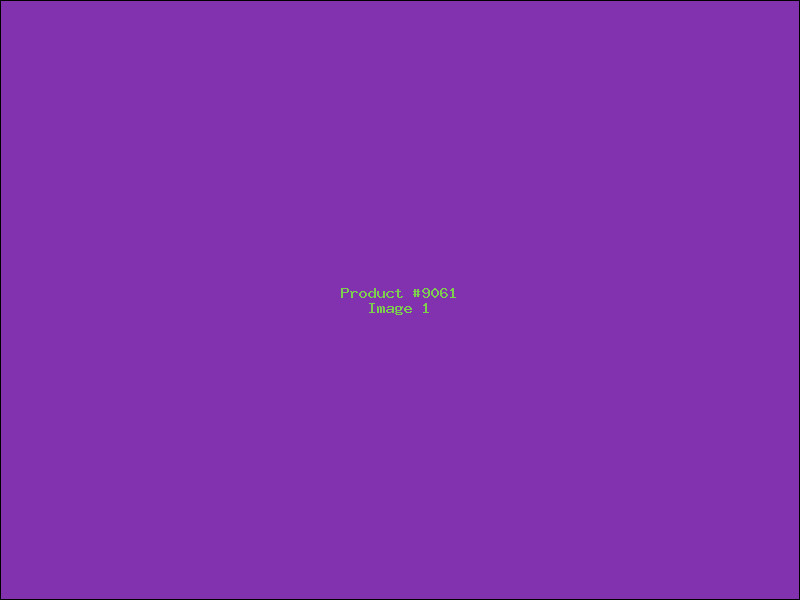 Example Product 9061