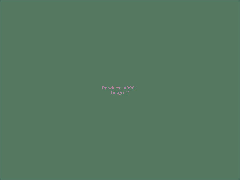 Example Product 9061 - Image 2