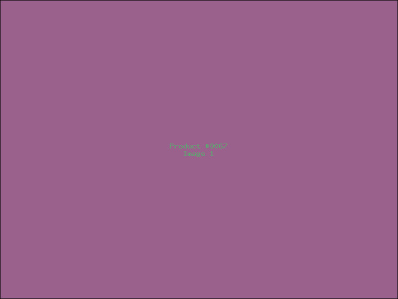 Example Product 9067