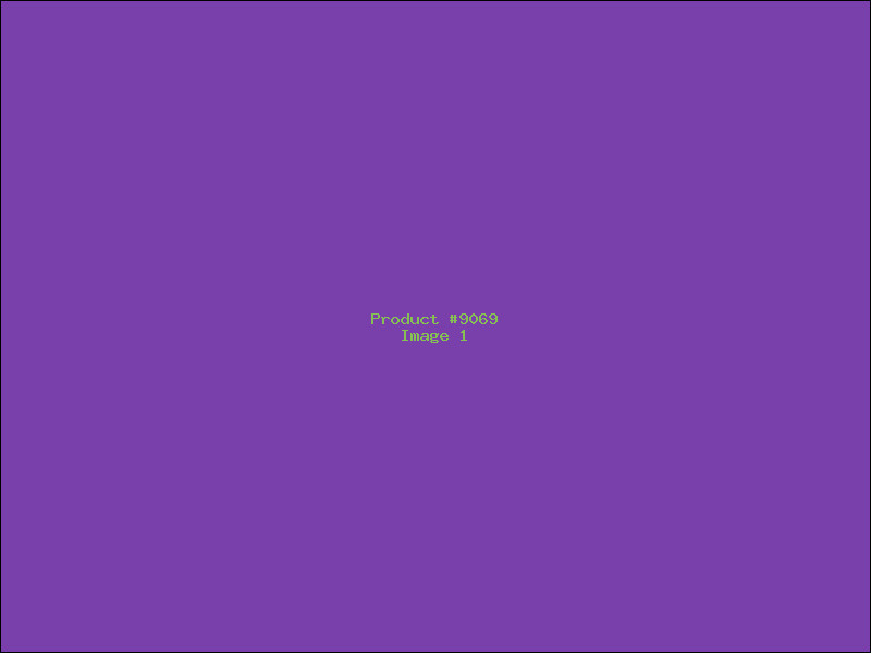 Example Product 9069