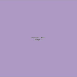 Example Product 907
