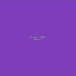 Example Product 9071