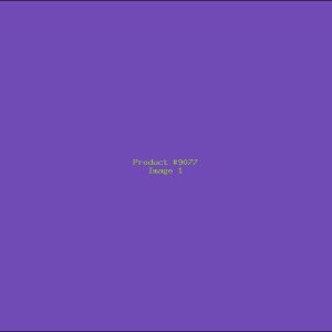 Example Product 9077
