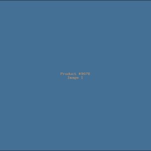 Example Product 9078