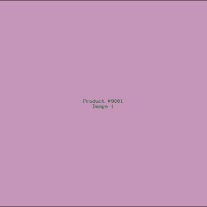 Example Product 9081