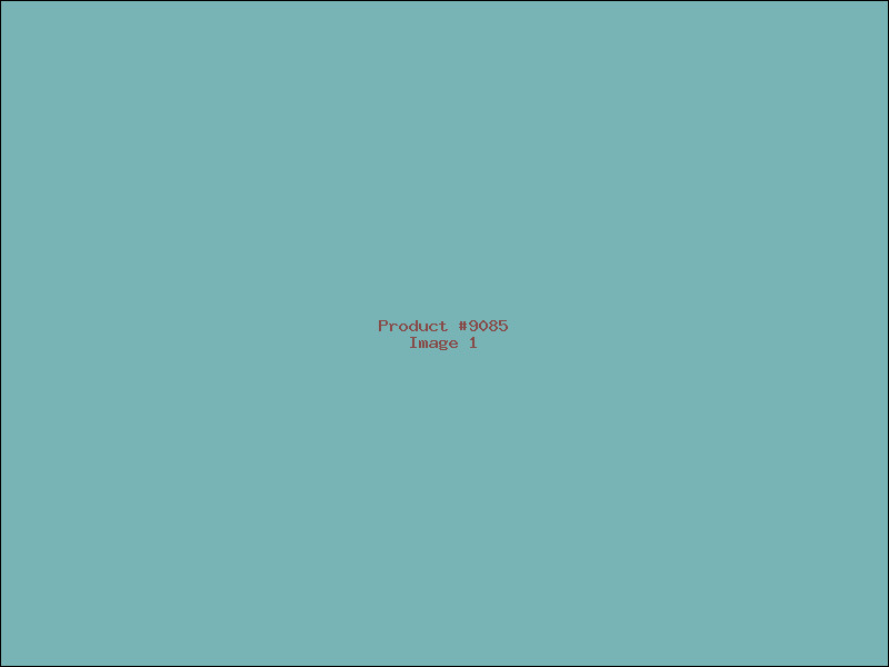 Example Product 9085