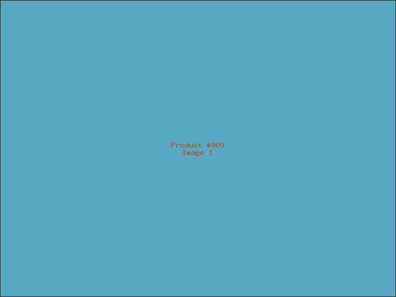 Example Product 909