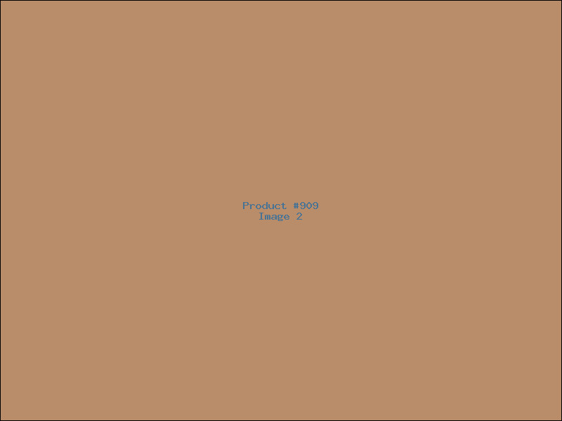 Example Product 909 - Image 2