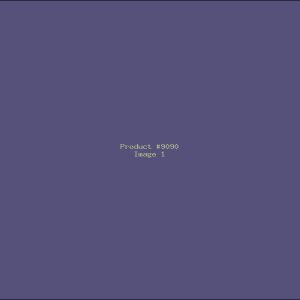 Example Product 9090