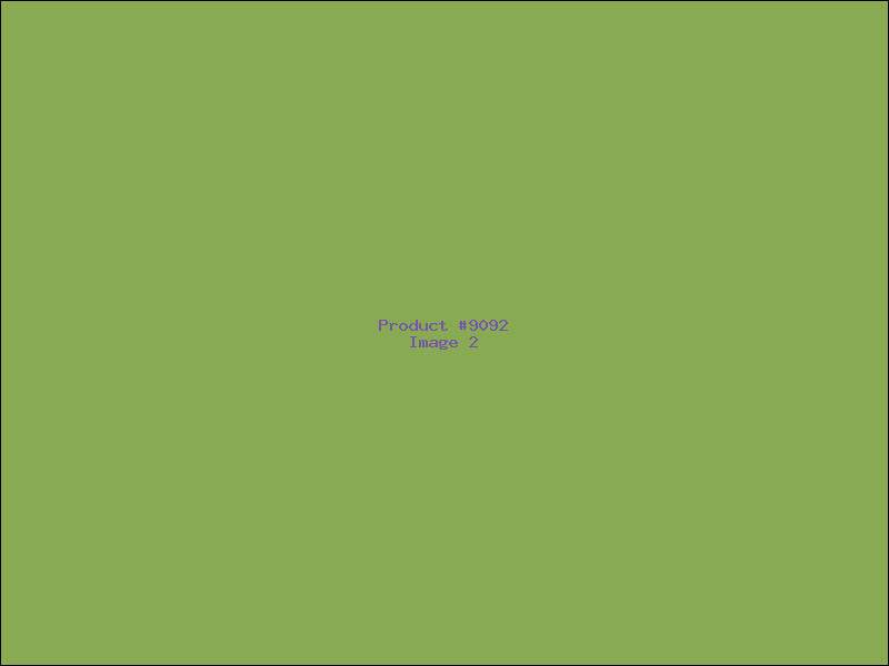 Example Product 9092 - Image 2