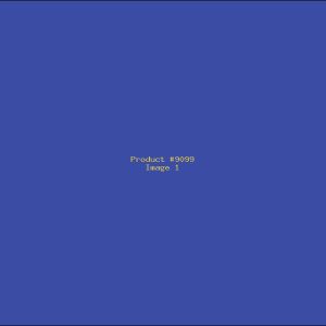 Example Product 9099