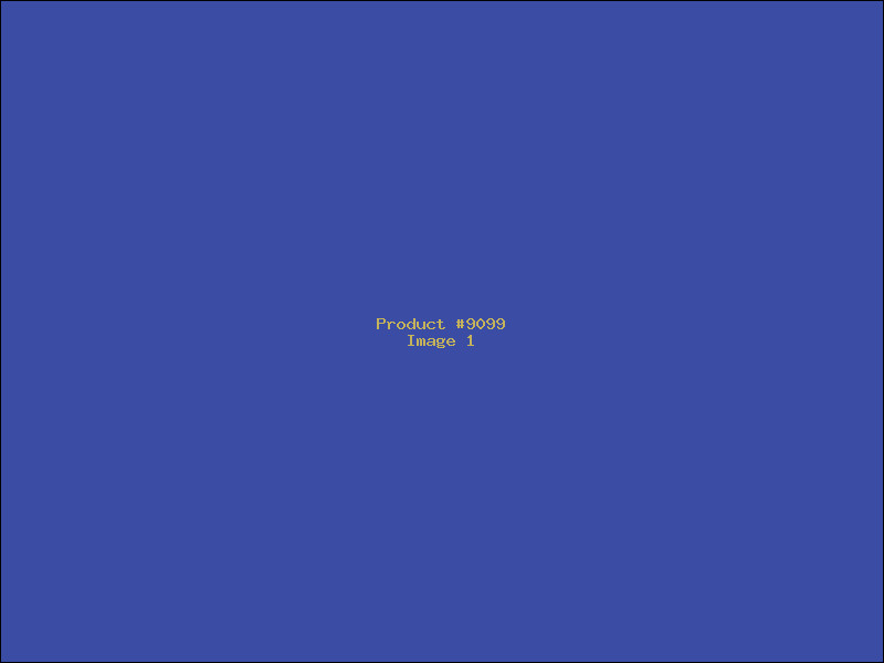 Example Product 9099
