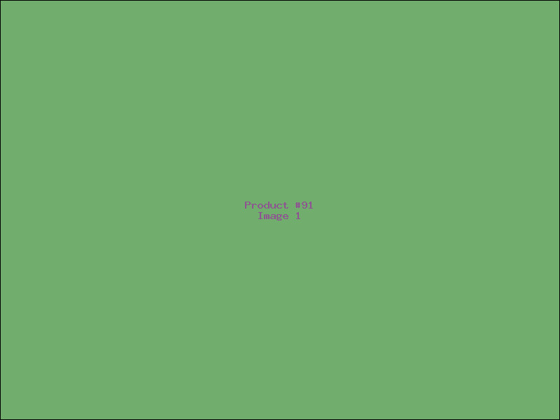 Example Product 91