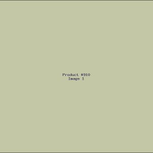 Example Product 910