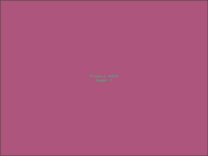 Example Product 910 - Image 2