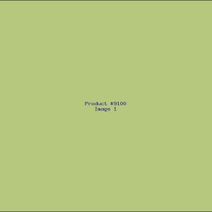 Example Product 9100