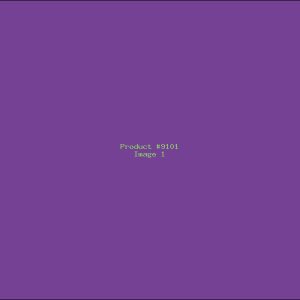 Example Product 9101